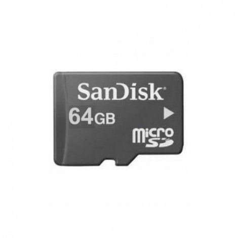 SanDisk 64GB Memory