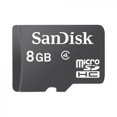 SanDisk 8GB Memory
