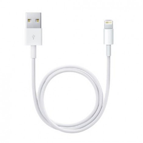 Apple Lightning to USB Cable | White