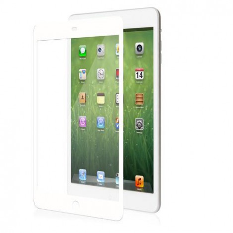 Moshi iVisor XT for iPad