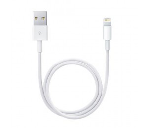 Apple Lightning to USB Cable | White