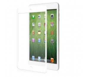 Moshi iVisor XT for iPad