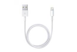 Apple Lightning to USB Cable | White
